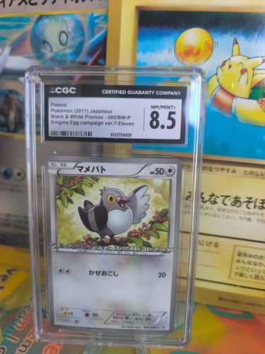 Carta pokemon card - carta, pidove